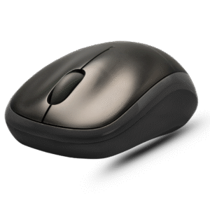 Mouse 1